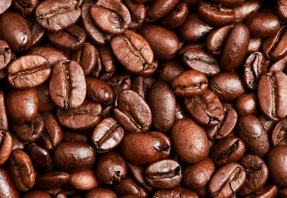fungsi mesin selep kopi