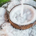 peluang saha peras santan kelapa