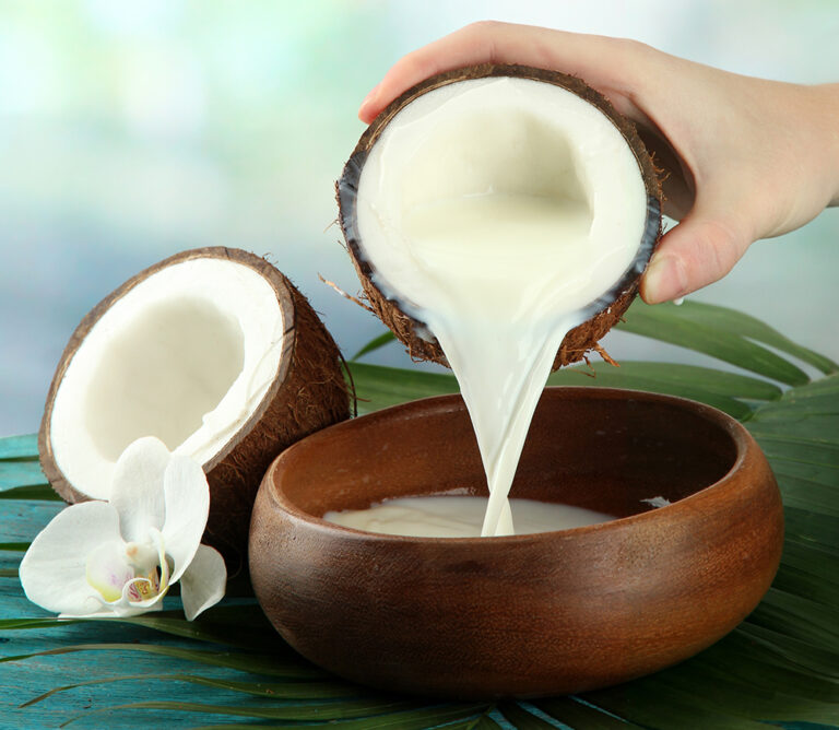 Jenis masakan yang menggunakan santan