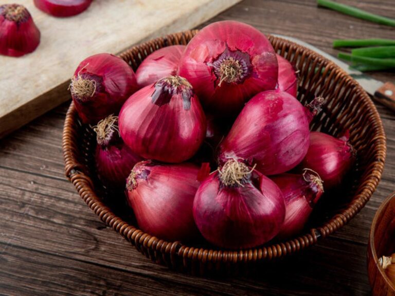 peluang bisnis bawang merah yang menguntungkan