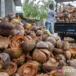 Pemanfaatan Sabut Kelapa untuk Talang Air di Perkebunan: Solusi Ramah Lingkungan untuk Pengelolaan Air