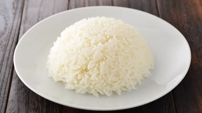 buat pupuk dari nasi basi