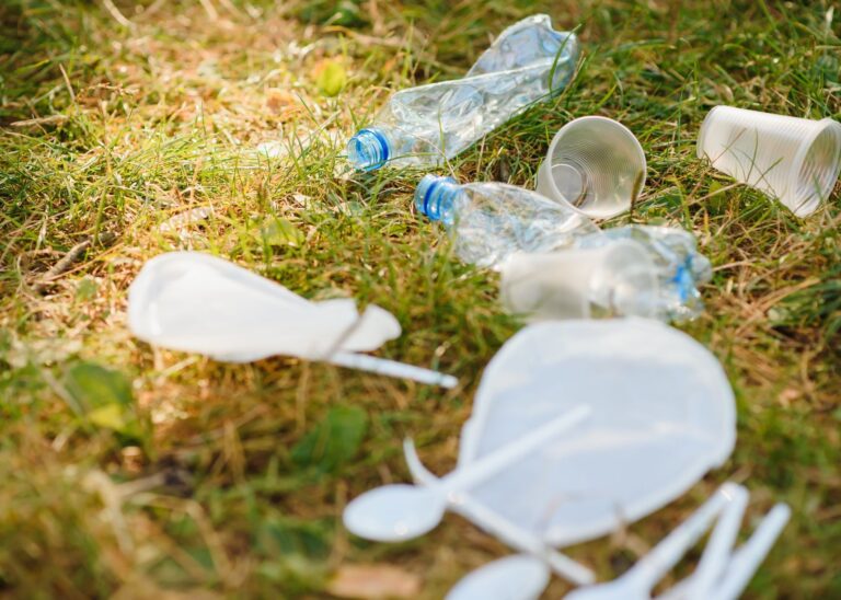 peluang bisnis sampah plastik