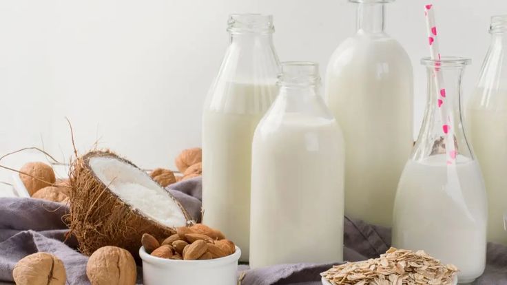 Analisis Usaha Santan Kelapa