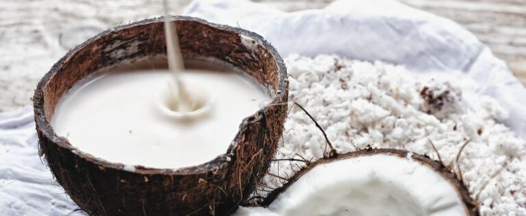 Peluang Usaha Produksi Santan Kelapa