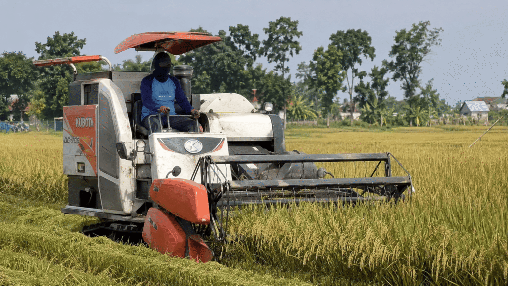 cara mengurangi gabah rontok saat panen