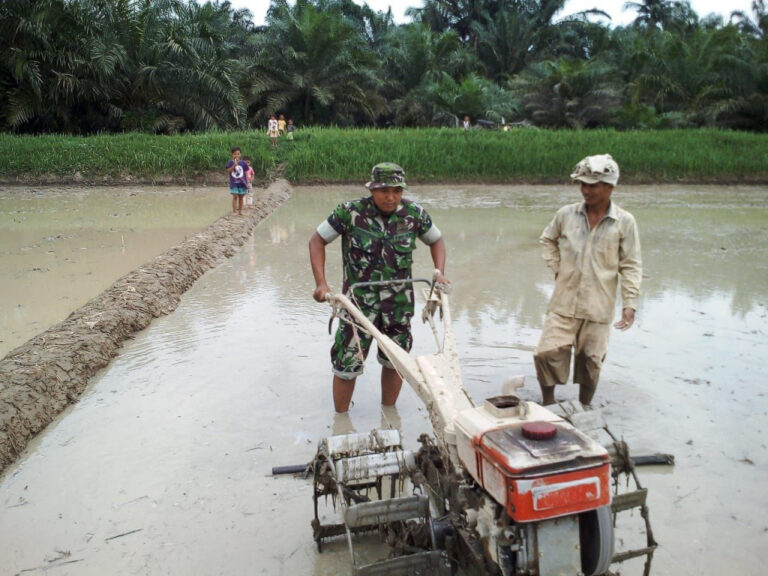kapan menggunakan hand tractor